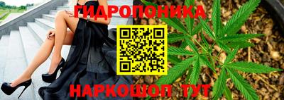 сатива Сланцы